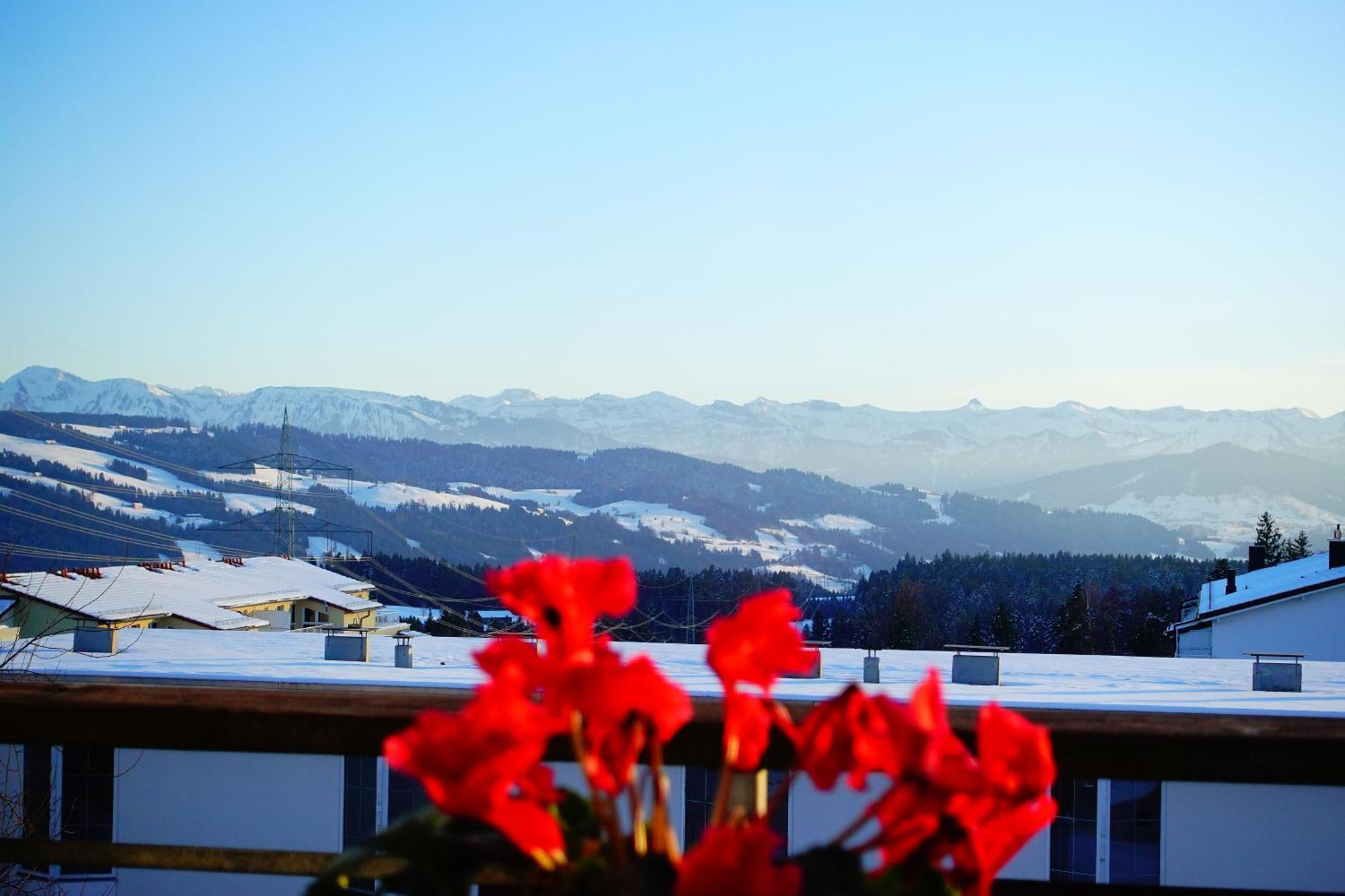 Relax-Red Mit Pool Und Sauna Scheidegg Exterior photo
